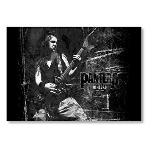 Pantera Dimebag Darrell Gitar Çalıyor  Mdf Ahşap Tablo 35x50 cm