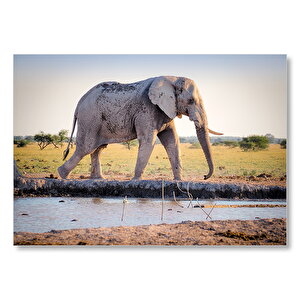 Su Kenarında Afrika Fili  Mdf Ahşap Tablo 25x35 cm