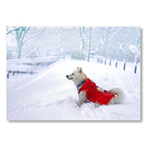 Karlar İçindeki Husky Kırmızı Elbiseli  Mdf Ahşap Tablo 25x35 cm
