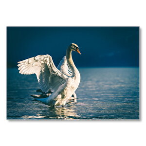 Gölde Kanatlarını Açan Kuğular  Mdf Ahşap Tablo 35x50 cm