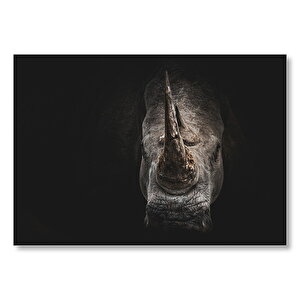 Gergedan Karanlık Arkaplan Gergedan Yakın Çekim  Mdf Ahşap Tablo 25x35 cm