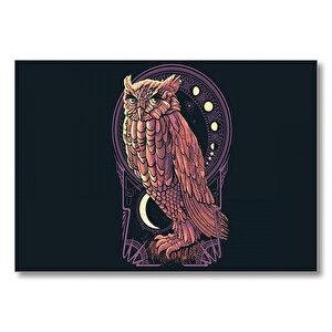 İhtiyar Baykuş Siyah Arka Plan  Mdf Ahşap Tablo 25x35 cm