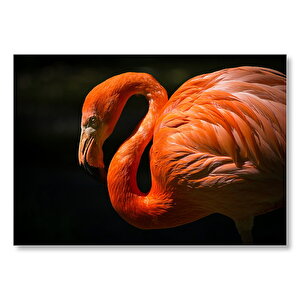 İhtiyar Flamingo Karanlık Arka Plan  Mdf Ahşap Tablo 25x35 cm