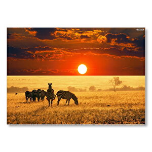 Afrikada Gün Batımındaki Zebralar  Mdf Ahşap Tablo 50x70 cm