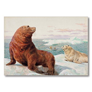 Foklar Buz Kütleleri Ve Kayıkta İki Kişi  Mdf Ahşap Tablo 50x70 cm