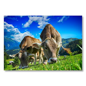 Yayladaki İnekler  Mdf Ahşap Tablo 50x70 cm