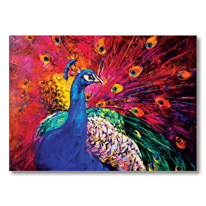 Boyama Tavus Kuşu Görseli  Mdf Ahşap Tablo 50x70 cm