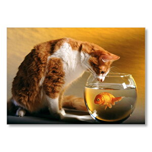 Fanustaki Balık Ve İzleyen Kedi  Mdf Ahşap Tablo 25x35 cm