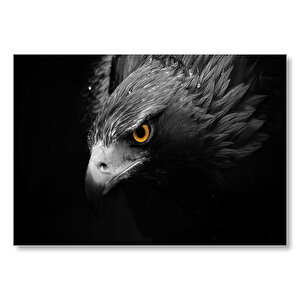 Karanlık Arkaplan Kartal  Mdf Ahşap Tablo 50x70 cm