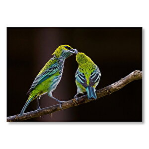 Dalda Eşini Besleyen Kuş  Mdf Ahşap Tablo 25x35 cm