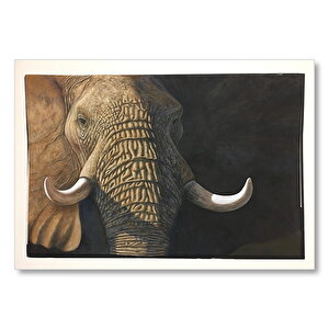 İhtiyar Fil Yakın Çekim  Mdf Ahşap Tablo 35x50 cm
