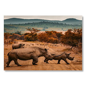 Muhteşem Boynuzlu Gergedan Ve Yavrusu  Mdf Ahşap Tablo 35x50 cm