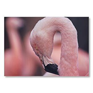 Flamingonun Zarafeti  Mdf Ahşap Tablo 50x70 cm