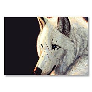 Beyaz Kurt Ve Yüzünde Pençe İzleri  Mdf Ahşap Tablo 50x70 cm