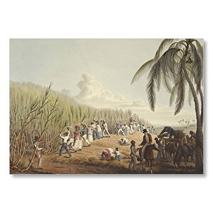 Amerikan Kasabasında Tarlada Çalışan Köleler  Mdf Ahşap Tablo 35x50 cm