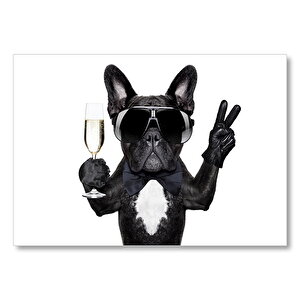 Siyah Gözlüklü Şampanyalı Eldivenli Köpek  Mdf Ahşap Tablo 50x70 cm