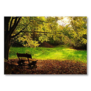 Ağaçlar Ve Koyu Gölgedeki  Bank  Mdf Ahşap Tablo 35x50 cm