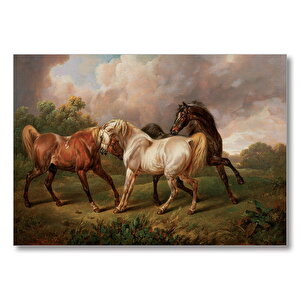 Dövüşen Kaslı Atlar Yağlı Boya  Mdf Ahşap Tablo 25x35 cm
