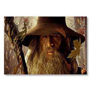 Yüzüklerin Efendisi Gandalf Yakın Plan  Mdf Ahşap Tablo 35x50 cm