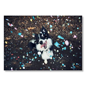 Siyah Beyaz Çoban Köpeği  Mdf Ahşap Tablo 35x50 cm