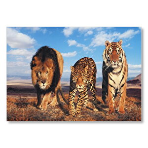 Aslan Leopar Ve Kaplan Kompozisyon  Mdf Ahşap Tablo 50x70 cm