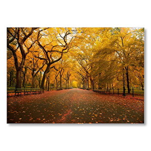 Sonbahar Sarı Kızıl Yapraklar Ağaçlı Yol  Mdf Ahşap Tablo 50x70 cm