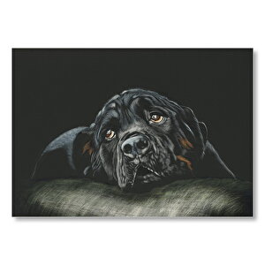 Siyah Rottweiler Siyah Arka Plan  Mdf Ahşap Tablo 35x50 cm