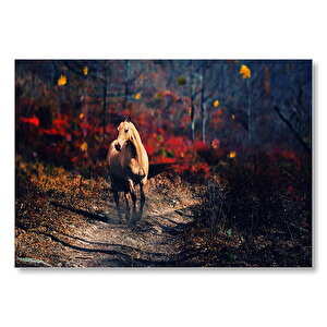 Sonbahar Orman Patikası Ve Kahverengi At  Mdf Ahşap Tablo 35x50 cm