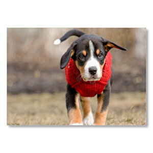Kırmızı Kıyafetli Sevimli Yavru Köpek  Mdf Ahşap Tablo 50x70 cm
