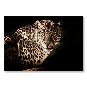 Leopar Siyah Arkaplan  Mdf Ahşap Tablo 35x50 cm