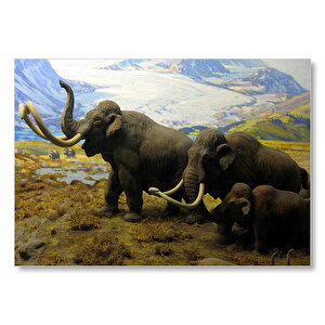 Kuzey Amerika Mamutları İllüstrasyon  Mdf Ahşap Tablo 50x70 cm