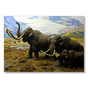 Kuzey Amerika Mamutları İllüstrasyon  Mdf Ahşap Tablo 35x50 cm