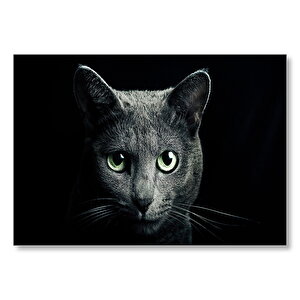 Yeşil Gözlü Kara Kedi Karanlık Arka Plan  Mdf Ahşap Tablo 50x70 cm