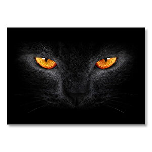 Kara Kedi Ve Sarı Gözleri  Mdf Ahşap Tablo 35x50 cm