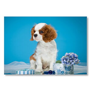 Sevimli Yavru Spaniel Kahverengi Beyaz  Mdf Ahşap Tablo 35x50 cm