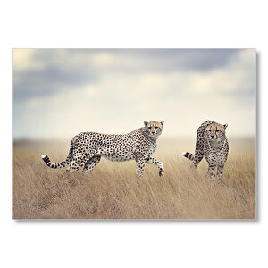 Savanada Av Hazırlığındaki Çitalar  Mdf Ahşap Tablo 50x70 cm