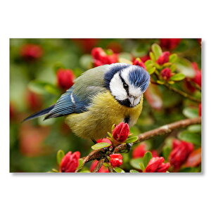 Kırmızı Çiçekli Ağaçta Mavi Sarı Kuş  Mdf Ahşap Tablo