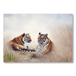 Çayırdaki Kaplan Çifti  Mdf Ahşap Tablo 35x50 cm