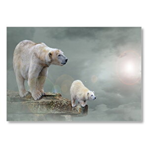Kutup Ayısı Ve Yavrusu Kayalık Üzerinde  Mdf Ahşap Tablo 50x70 cm
