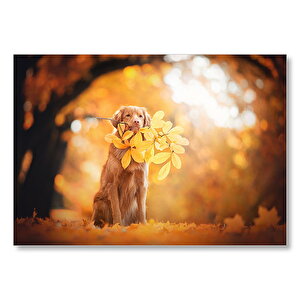 Golden Retriever Sonbahar Yaprakları  Mdf Ahşap Tablo 35x50 cm
