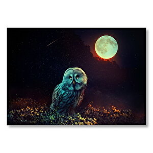 Gece Dolunay Ve Baykuş  Mdf Ahşap Tablo 50x70 cm