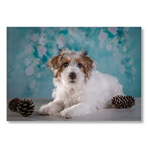 Beyaz Kahverengi Tüylü Terrier  Mdf Ahşap Tablo 25x35 cm
