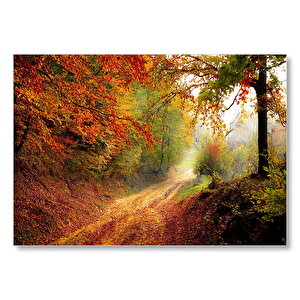 Sonbahar Renkleri, Yapraklar Ve Ormandaki Patika  Mdf Ahşap Tablo 25x35 cm