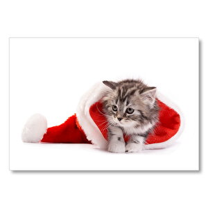 Noel Şapkası Ve Sevimli Yavru Kedi  Mdf Ahşap Tablo 25x35 cm
