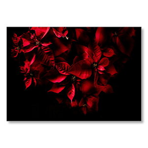 Kızıl Yapraklar Siyah Zeminde  Mdf Ahşap Tablo 35x50 cm