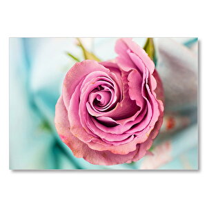 Dalında Pembe Gül  Mdf Ahşap Tablo 25x35 cm