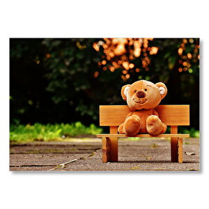 Parktaki Bankta Sevimli Oyuncak Ayı  Mdf Ahşap Tablo 50x70 cm