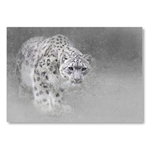 Kar Leoparı  Mdf Ahşap Tablo 25x35 cm