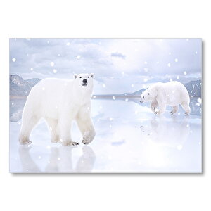 Kutup Ayıları Karlar Ve Buz Kütleleri  Mdf Ahşap Tablo 35x50 cm