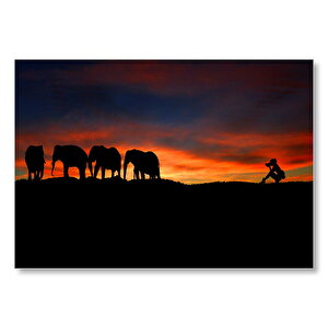 Günbatımı Filler Ve Safari Fotoğrafçısı  Mdf Ahşap Tablo